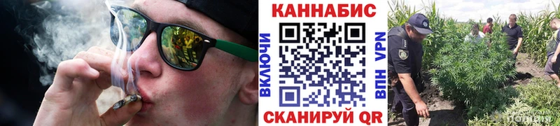 Какие есть наркотики Долгопрудный гидра Меф СК Марихуана КОКАИН