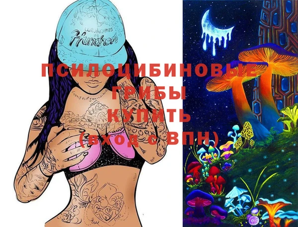 молекула духа Арсеньев