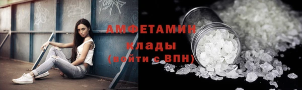 молекула духа Арсеньев