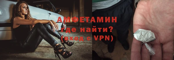 молекула духа Арсеньев
