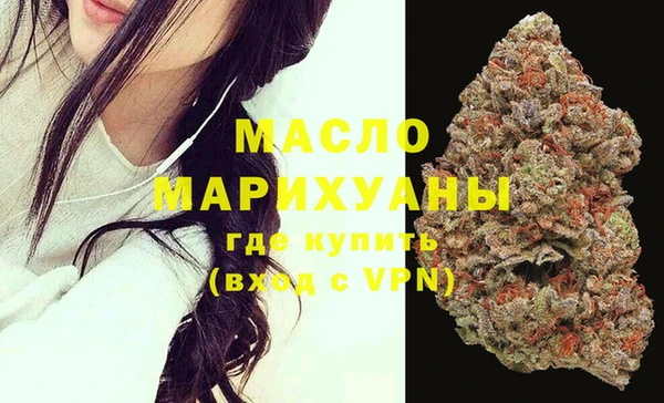 молекула духа Арсеньев