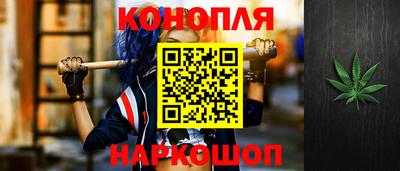 шишки Донской