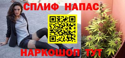 шишки Донской