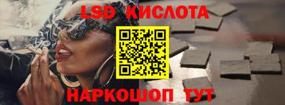 шишки Донской