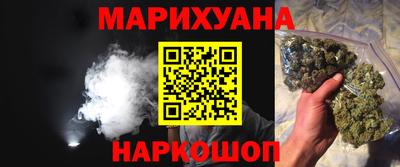 шишки Донской