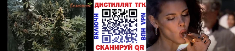 ТГК гашишное масло  как найти закладки  Долгопрудный 
