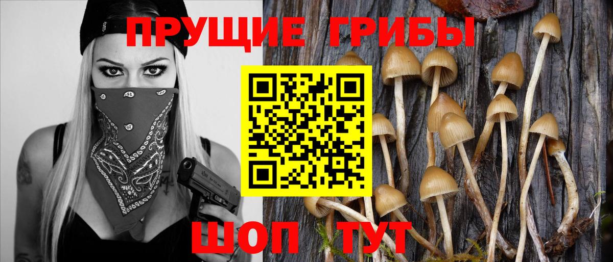 Долгопрудный  Галлюциногенные грибы ЛСД  Галлюциногенные грибы ЛСД  где найти наркотики  Вход с VPN 