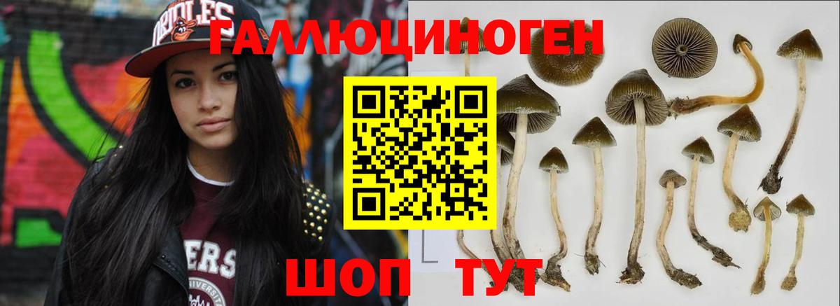 Псилоцибиновые грибы MAGIC MUSHROOMS Долгопрудный